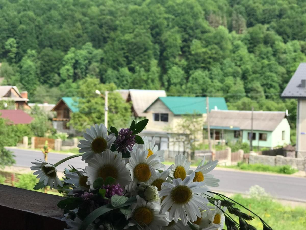 Гостевой дом Садыба Валерча Яремче-19