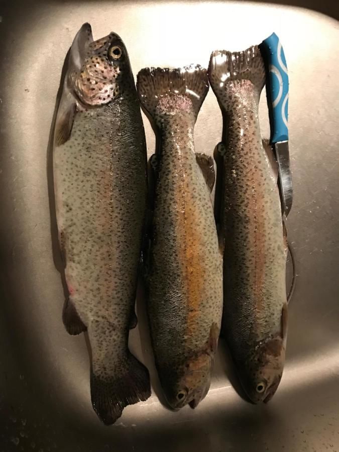 Гостевой дом Садыба Валерча Яремче