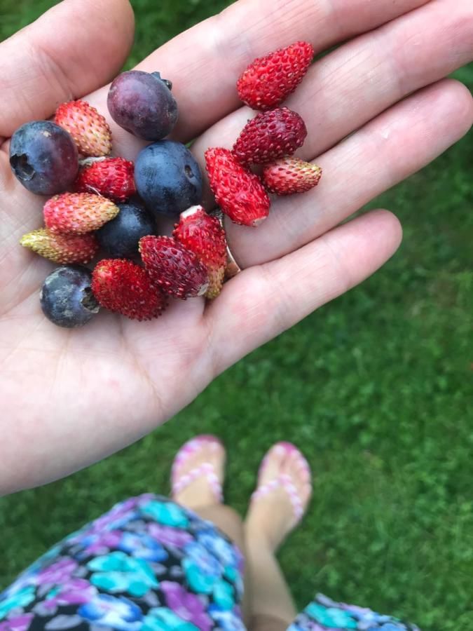 Гостевой дом Садыба Валерча Яремче