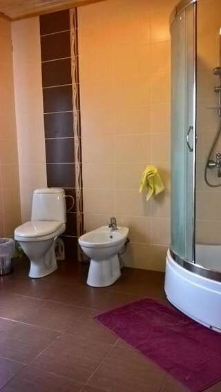 Гостевой дом Садыба Валерча Яремче Люкс с балконом-4