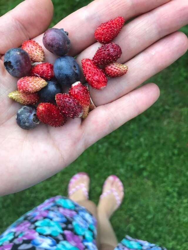 Гостевой дом Садыба Валерча Яремче-29