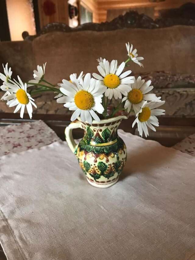 Гостевой дом Садыба Валерча Яремче-42