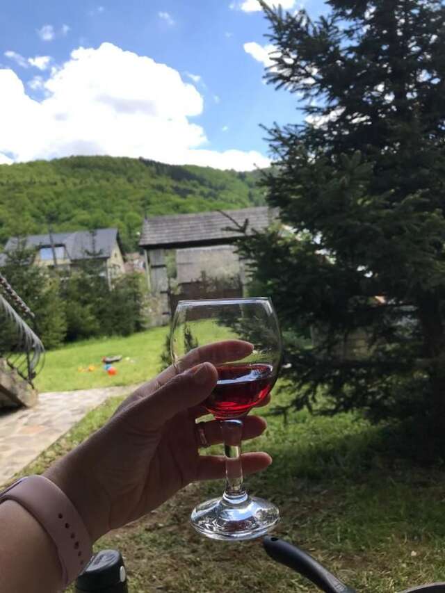 Гостевой дом Садыба Валерча Яремче-44